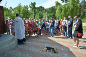 NIK_0519