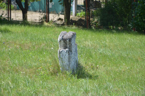 NIK_0539